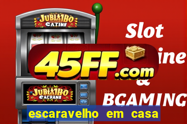 escaravelho em casa significado espiritual